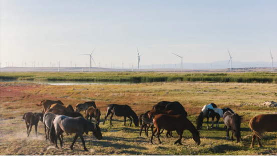 C7058FB3B72452C063ACB0F3D97_5112B021_A8DC5