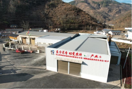 36D41C9AA56D908ED57A2E3A85D_88F3BB56_28C7A