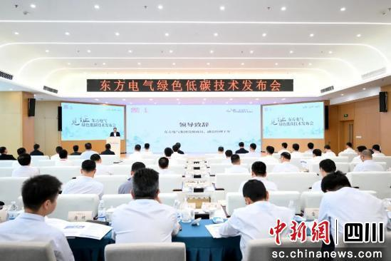 10C77CA0ADF128B575621850117_2CEFF77C_C4A6F