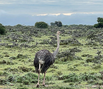 34B3C0058B6988094852601E5BD_2C820233_545AD