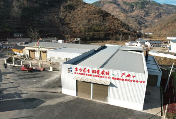 C43E43660C17641B710071E8310_6224E860_5E778