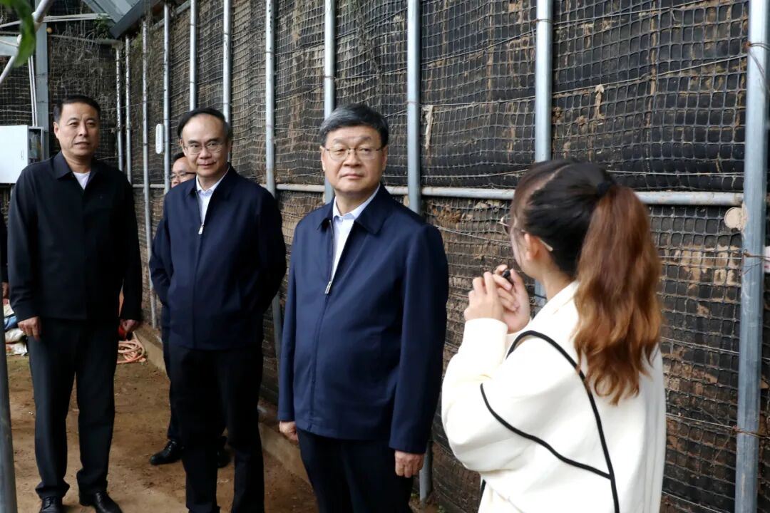 33340D27C2AF36C765A6C38A121_5FCA7EB2_F5505