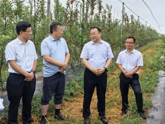 28B0B2A39FE3221978BE3BD2C53_C8FADCEC_E099B