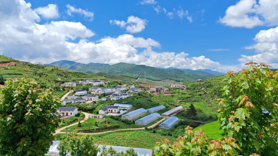 6BD6C9D2424E93F5506496F71E5_BF19EE8A_A8520