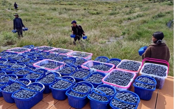 9F4AC024C8C2573D6C3A1BD2BEF_BCD63C15_33DC2